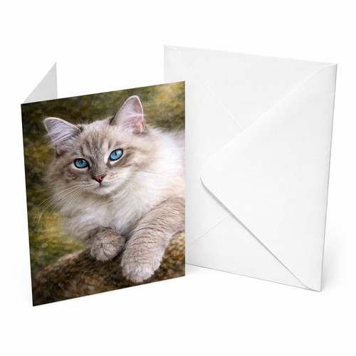 Ragdoll cat a5 greetings - ragdoll,