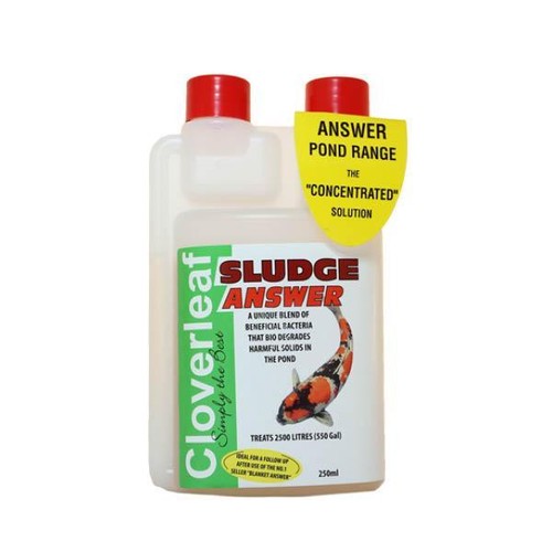 Cloverleaf sludge answer - cloverleaf,