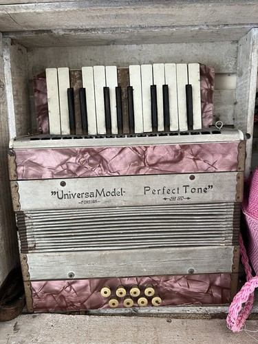 Old squeeze box vintage - old,