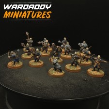 Pro Painted warhammer Lotr