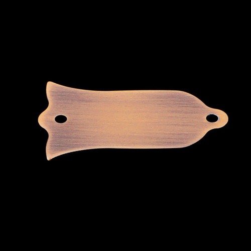 Truss rod cover - truss, for