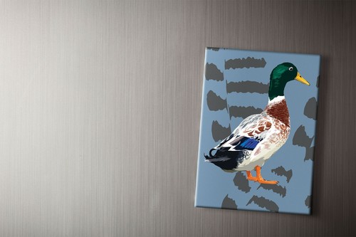 Mallard duck fridge magnet - duck, |