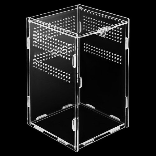 Compact acrylic tarantula - compact,