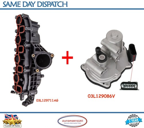 Intake manifold flap - +,