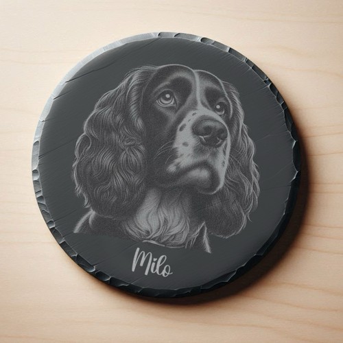 Personalised springer spaniel - springer,