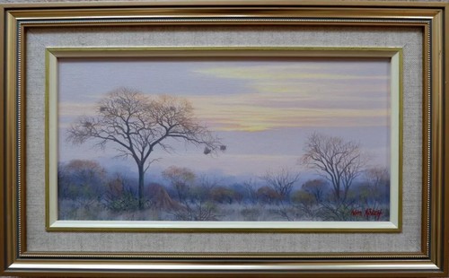 African landscape sunset - african, oil