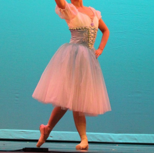 Professional romantic ballet - romantic,