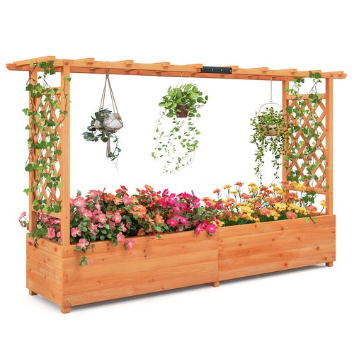 Raised garden bed with - garden, trellis