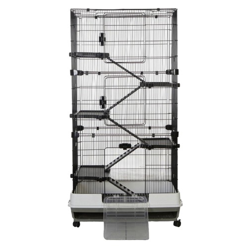 Rat ferret chinchilla - rat,
