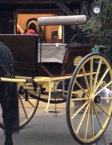 Fairbourne dog cart beautiful - fairbourne,