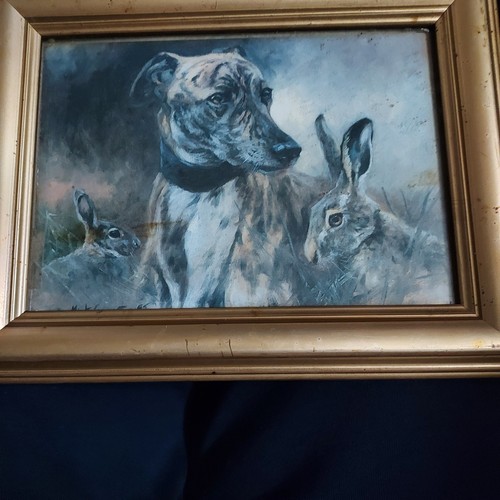 Dignaty two hares - two, abd