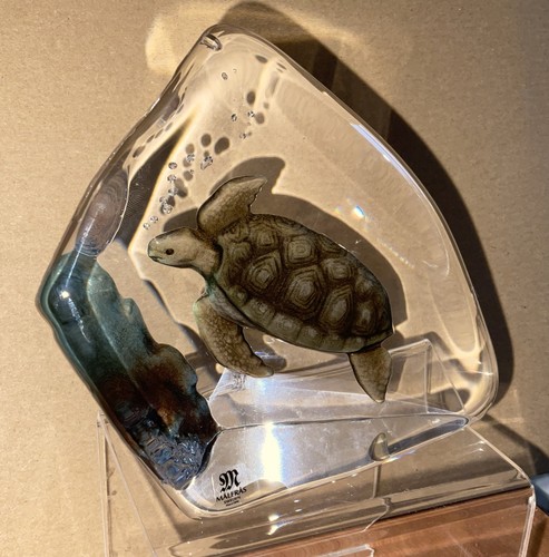 Målerås glass sea - sea, turtle