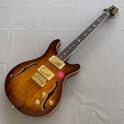Semi hollow electric guitar - semi,