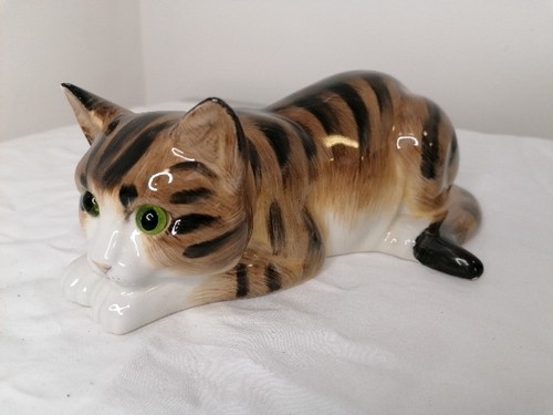 Just cats co staffordshire - co,
