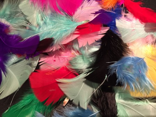 Mixed feathers assorted - 50,