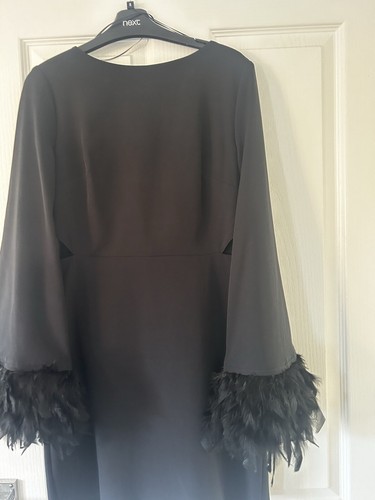 Lipsy feather sleeve dress 10 - feather,