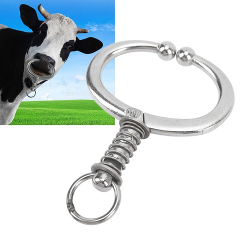Cattle nose ring - nose, clip