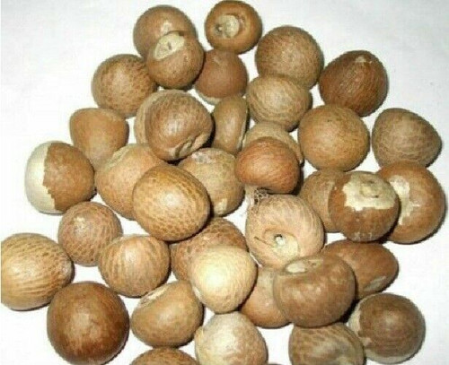 Betel nut indian - pc,