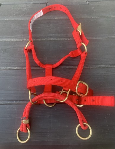 Monty roberts dually training - monty,