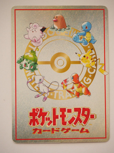The puzzle pokemon - puzzle, of