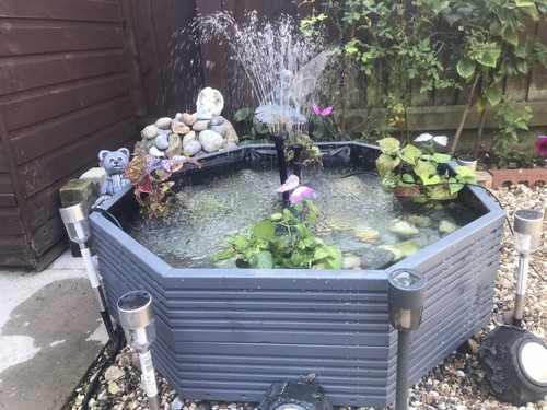 Raised garden pond low level - garden,