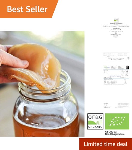 Organic kombucha scoby with - organic,