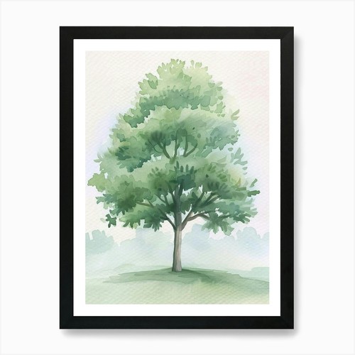 Paulownia tree atmospheric - paulownia,