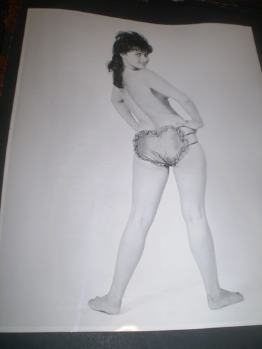 1960 original sophia dawn - sophia,
