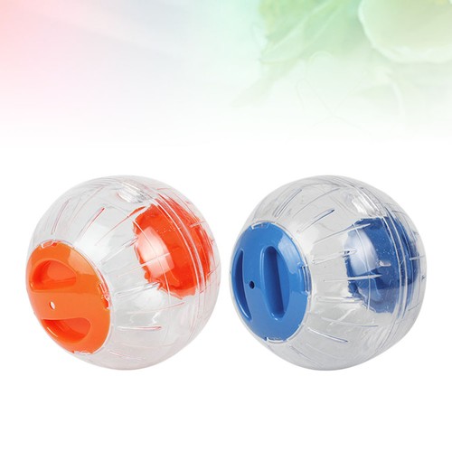 Assorted color hamster - assorted,
