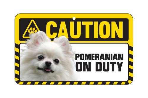 Dog sign caution beware - dog,