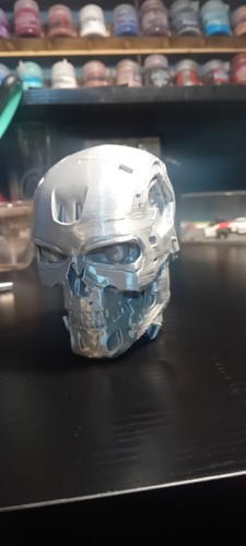 Terminator head 800 model - terminator,