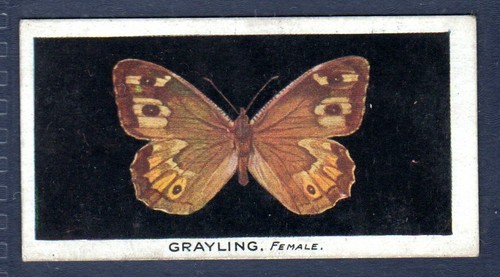 Grayling original 1920 s - original, 1920's