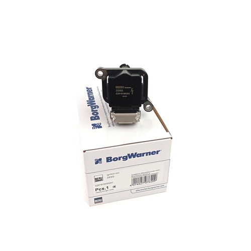Beru ignition zs302 - ignition, for