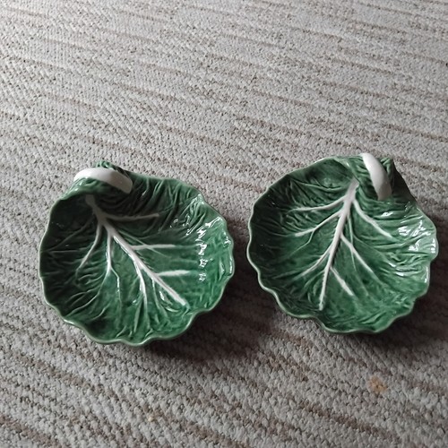 Bordello pinheiro cabbage - pinheiro., cabbage.