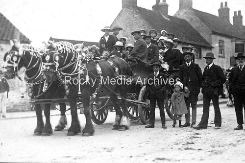 Dpl shire horse and cart - shire,