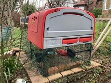 Omlet Eglu Cube Mk1 -  chicken