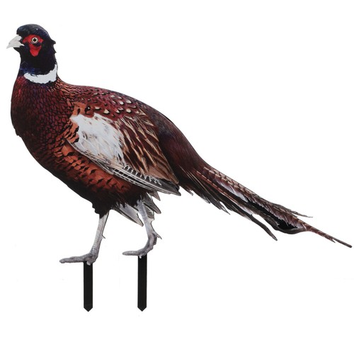 Pheasant garden stake acrylic - garden,