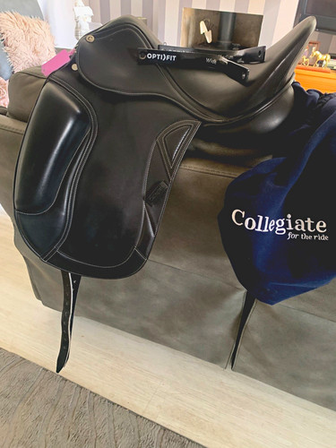 Collegiate monoflap dressage