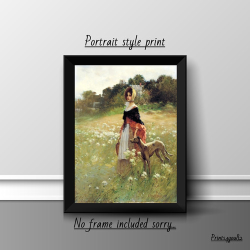 Greyhound dog pet picture - greyhound,