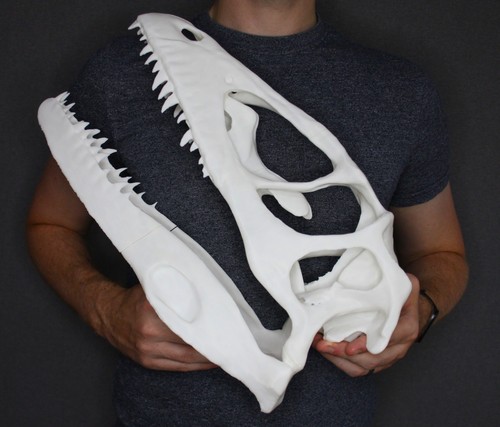 Life size dinosaur - dinosaur,