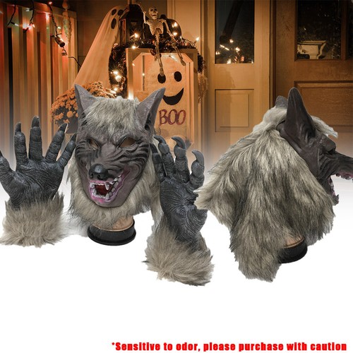 Adults werewolf wolf grey - werewolf,