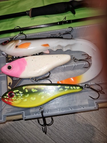 Baitcasting combo daiwa prorex - combo,