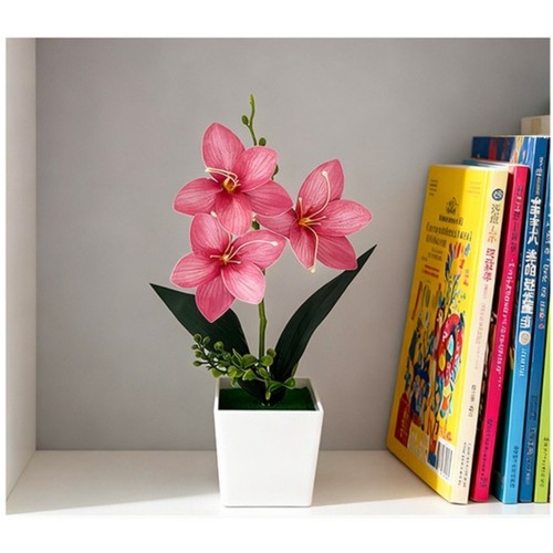 White light pink dark - light,