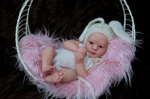 Evelyn awake authentic - evelyn,