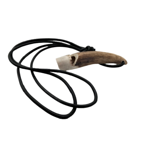 Stag antler horn - stag,