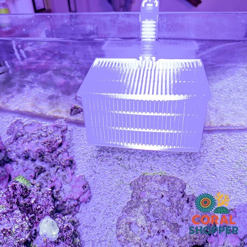 Aquarium quarantine basket - aquarium,