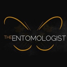 A selection of 25 x A2 Quality