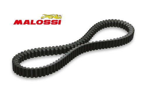 Malossi belt honda i - honda, sh