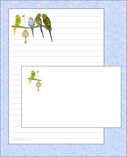 Romantic budgie a5 - 'romantic, writing
