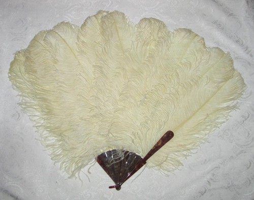 Antique edwardian fan - antique,